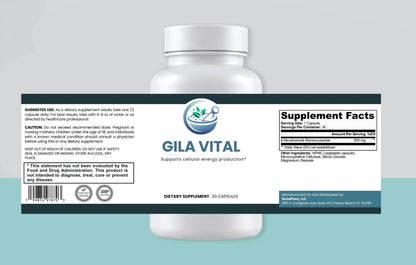 Supplement bottle with Gila Vital label on a light gray and blue gradient background