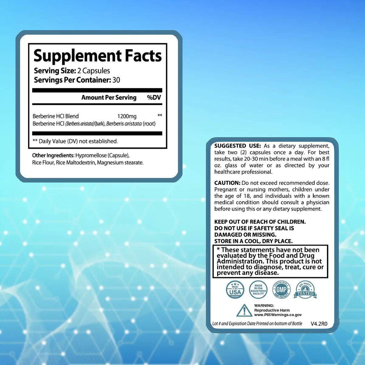 A graphic showing the Supplement Facts, Suggested use, and Cautions for GILA Metabolic
