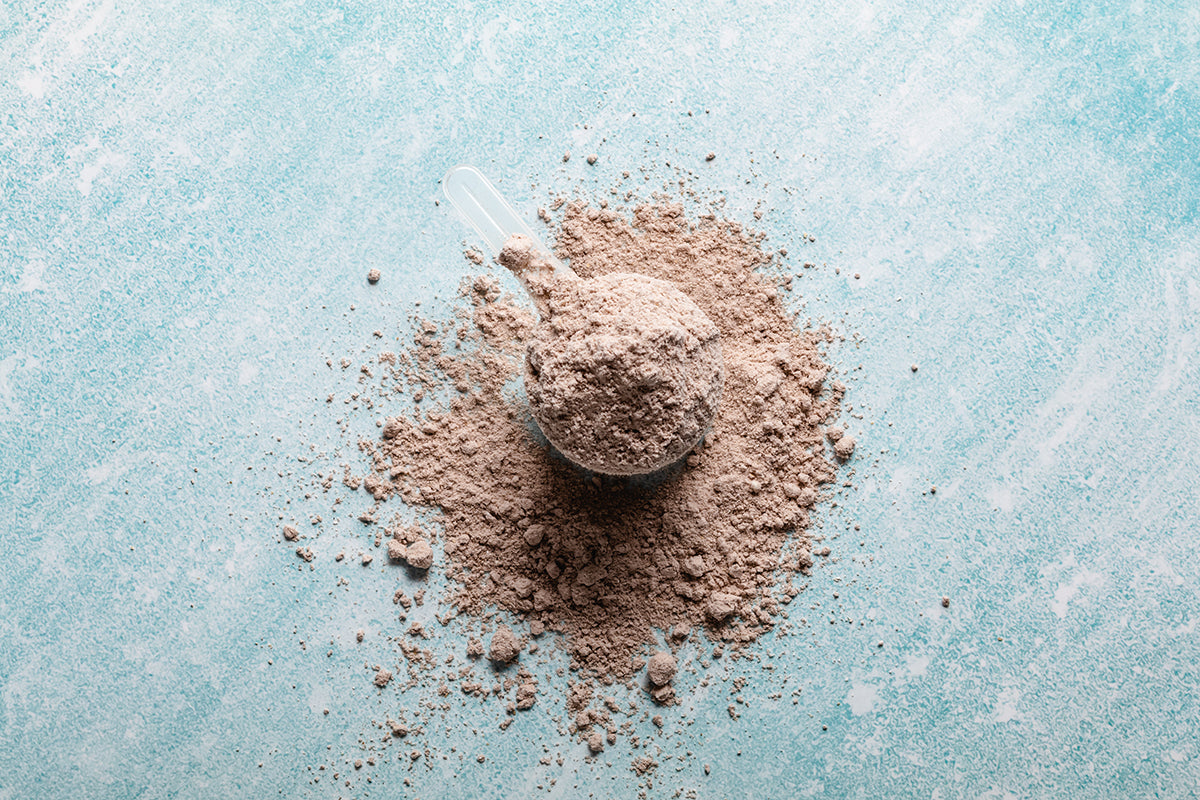 A full scoop of chocolate protein powder sitting on a blue surface