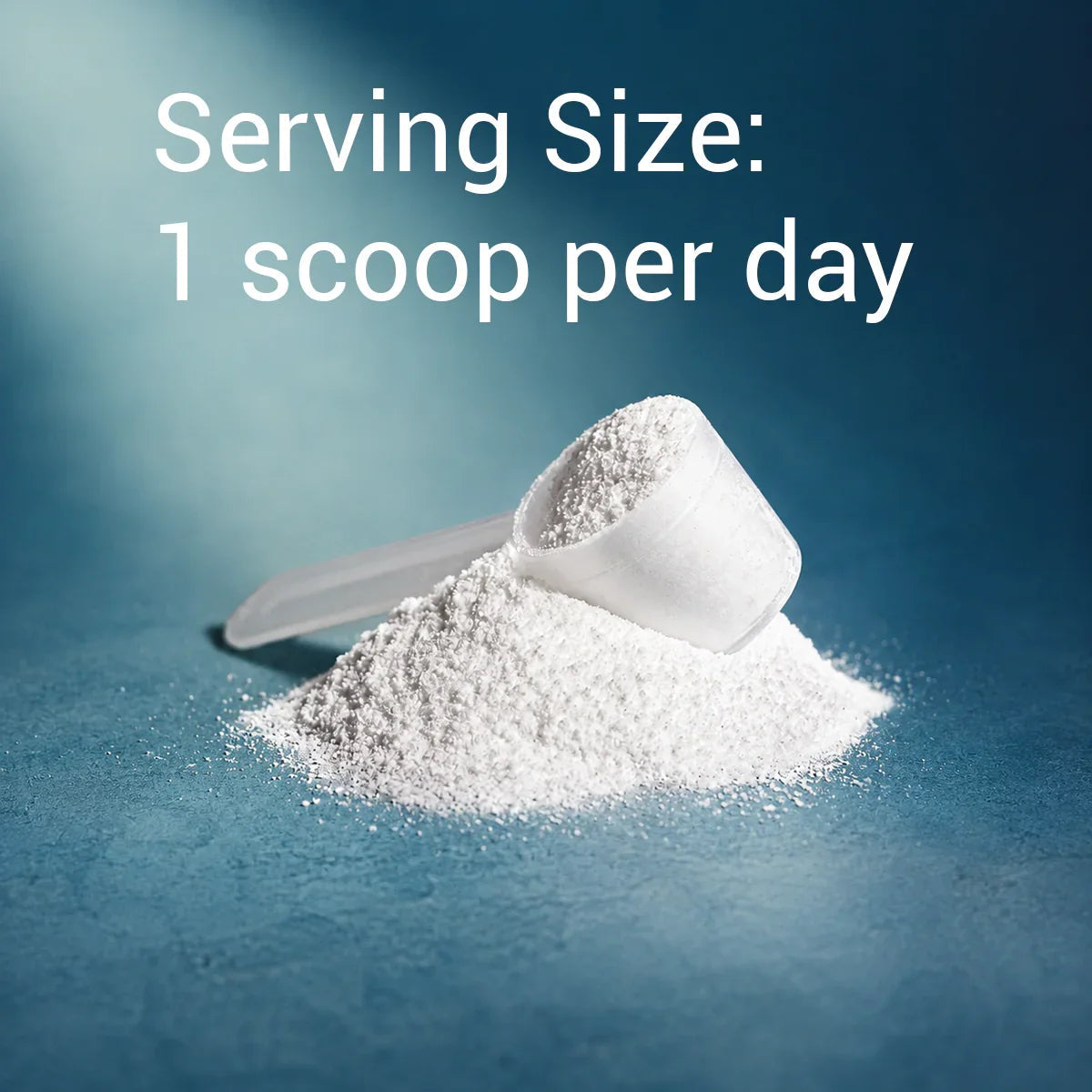 GILA Sustain Creatine: Energy Muscle Support & Healthy Aging - powder